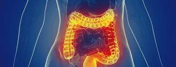 Study Explores Bidirectional Association of Inflammatory Bowel Disease and Depression