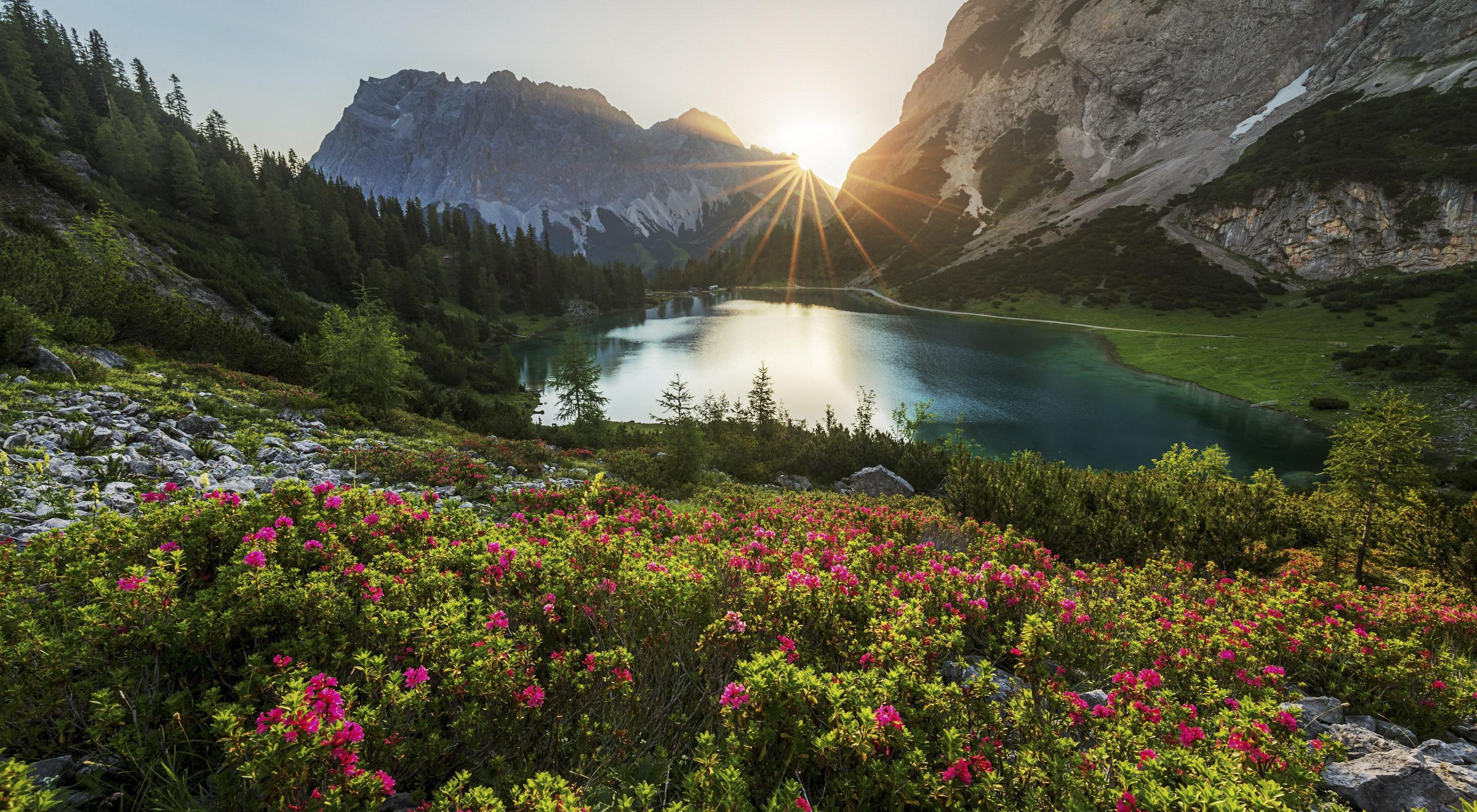 Nature Loss Tied to Economic Collapse