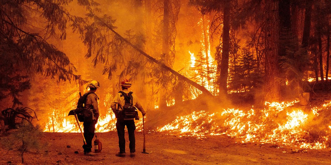 Climate Change Is Making Wildfire Smoke Deadlier—And Costlier