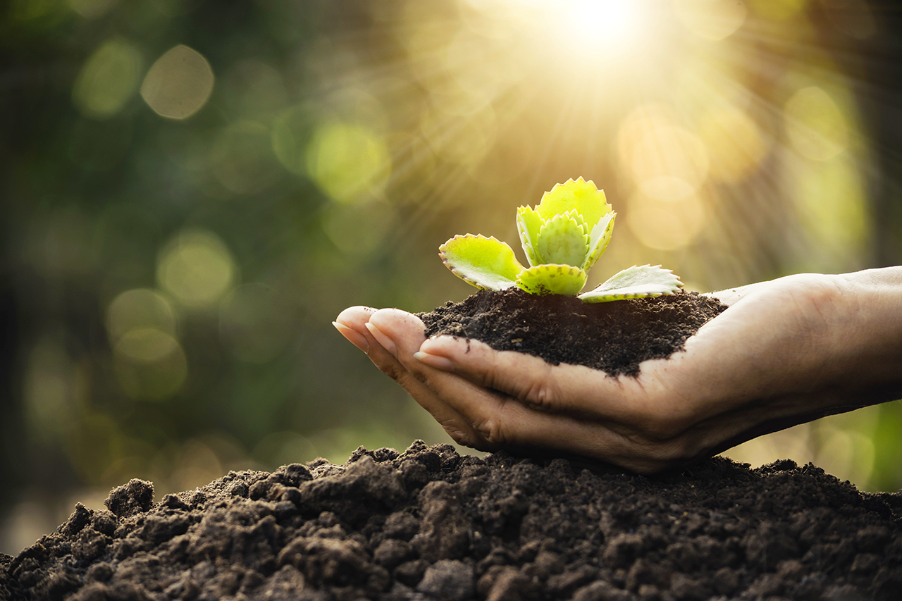 Research Shows Nature Contribute to Human Wellbeing in Much More Ways Than We Know