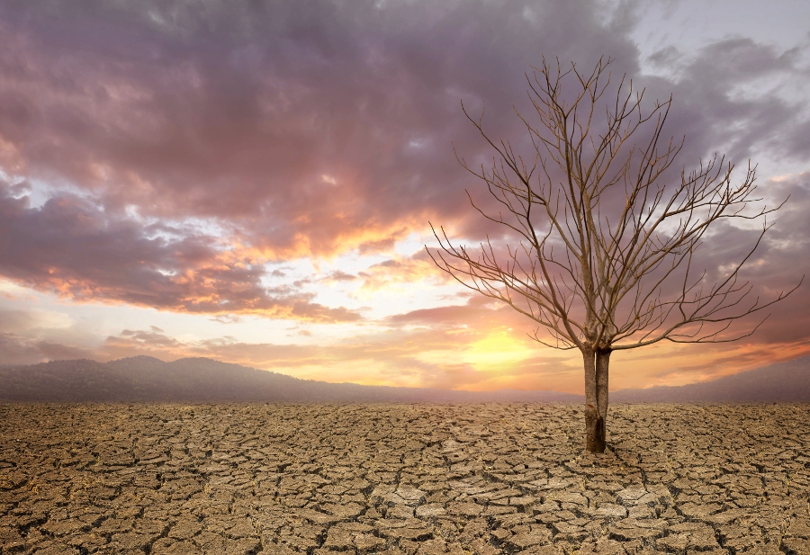 The Top 10% Driving 66% of Climate Extremes—Says Recent Study